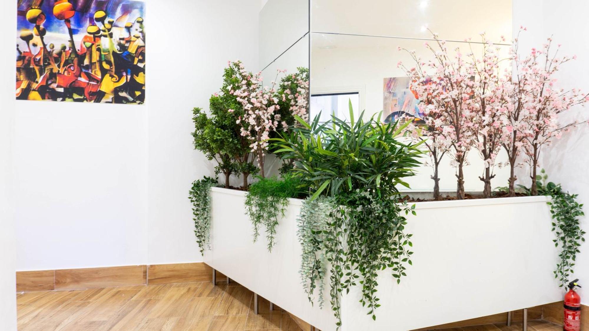 Ilustre Rooms Center Vistas Малага Екстериор снимка
